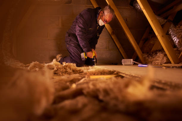 Best Types of Insulation in La Grange, NC